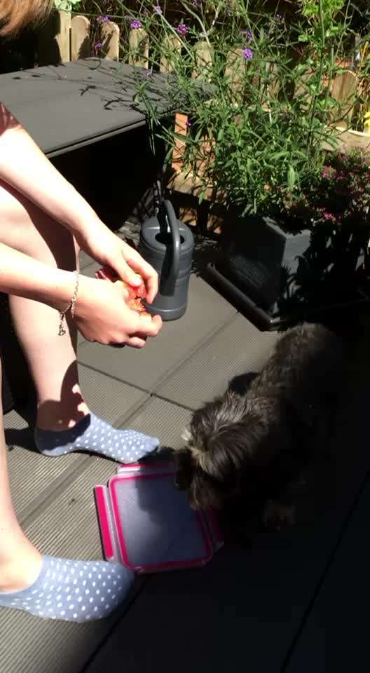 Video Challenge Nr. 4 - Lecker, Lecker-Beitrag-Bild