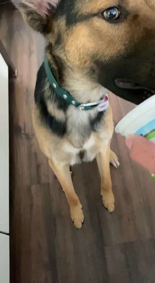 Video Challenge Nr. 4 - Lecker, Lecker-Beitrag-Bild