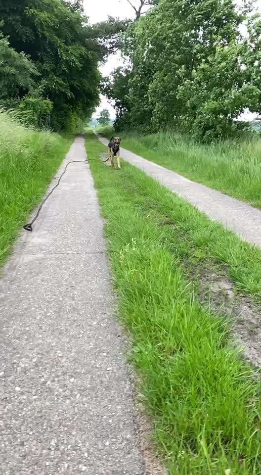 15. Video Challenge.  In SloMo die Welt erkunden!-Beitrag-Bild