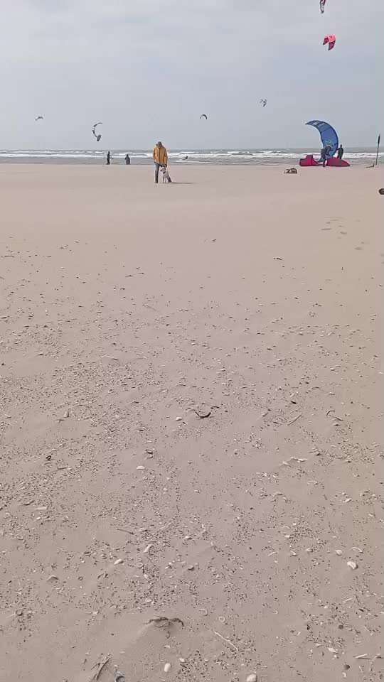 Hat probleme durch losen sand zu laufen-Beitrag-Bild