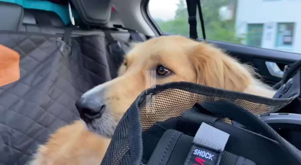 21. Kurzgeschichten Challenge - Urlaubserlebnisse-Beitrag-Bild