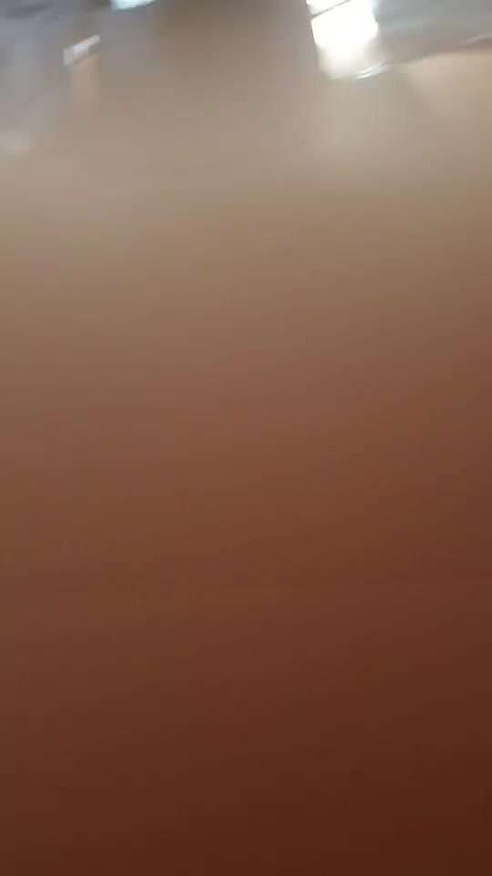 Welpen Bilder !-Beitrag-Bild