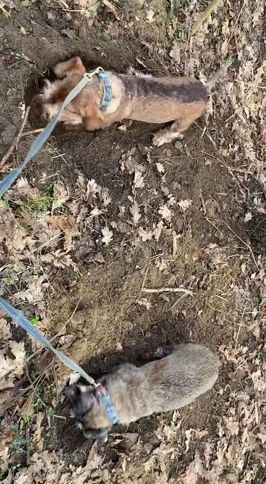 Zahnpflege-Beitrag-Bild