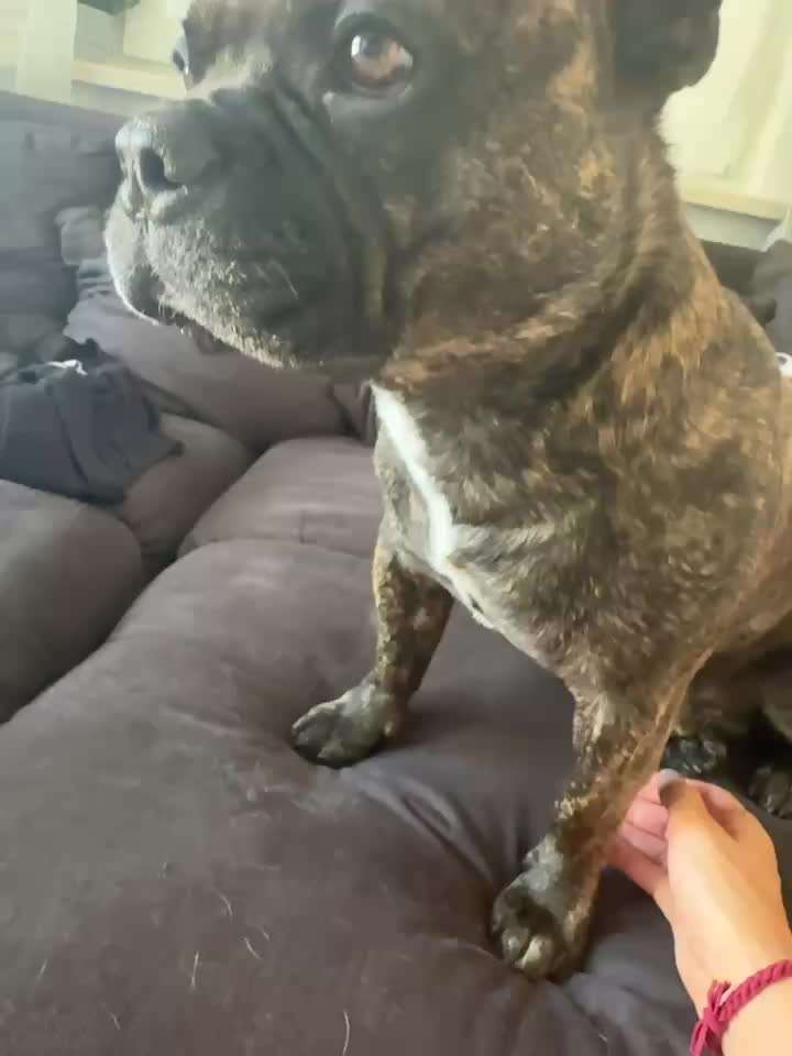 Komisch pochen am hals-Beitrag-Bild