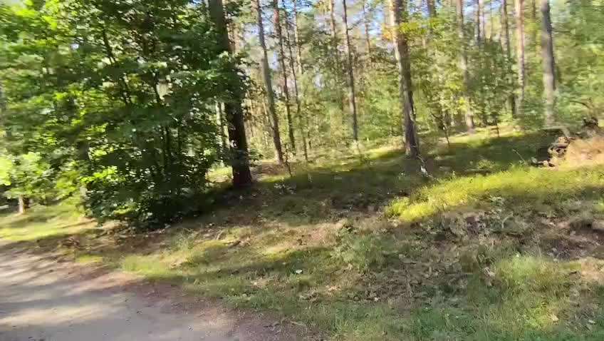 Was hat euch heute mit eurem Hund gefreut?-Beitrag-Bild