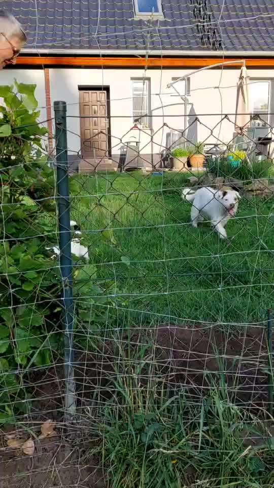 Analyse & Interpretation von Verhalten-Beitrag-Bild