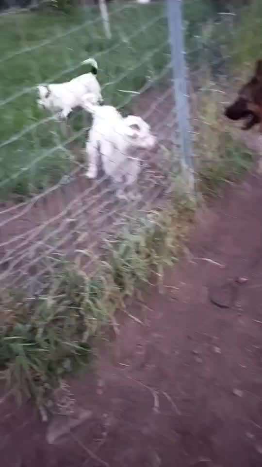 Analyse & Interpretation von Verhalten-Beitrag-Bild