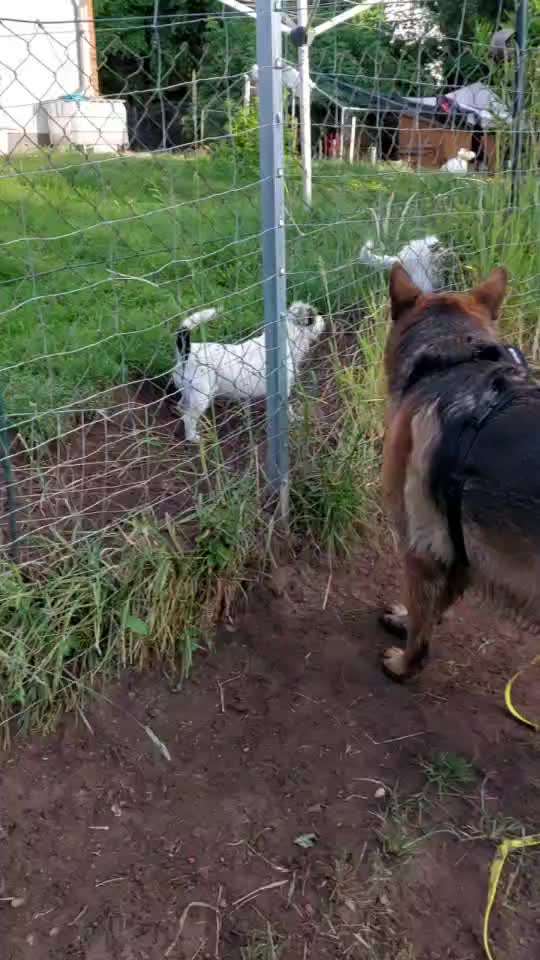 Analyse & Interpretation von Verhalten-Beitrag-Bild