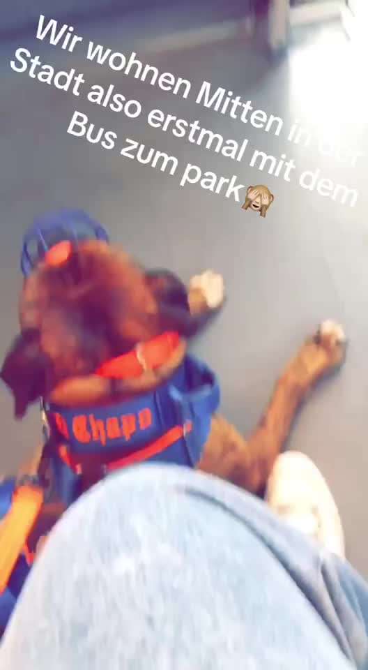 23. Kurzgeschichten - Auf zu neuen Abenteuern-Beitrag-Bild