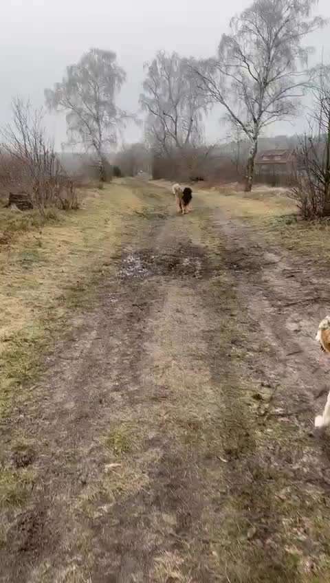 Was hat euch heute gefreut?-Beitrag-Bild