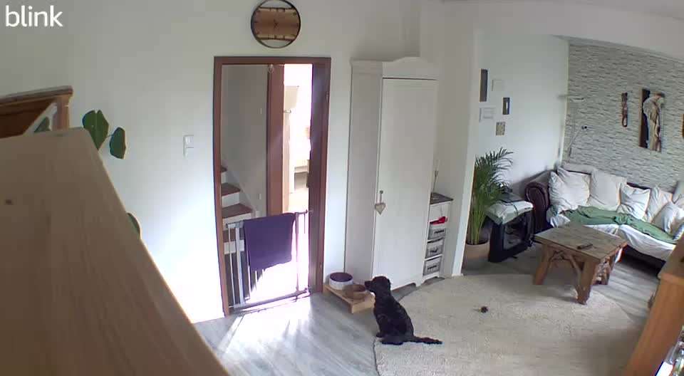 Erfahrungen mit Stressfrei von Larissa Dubau-Beitrag-Bild