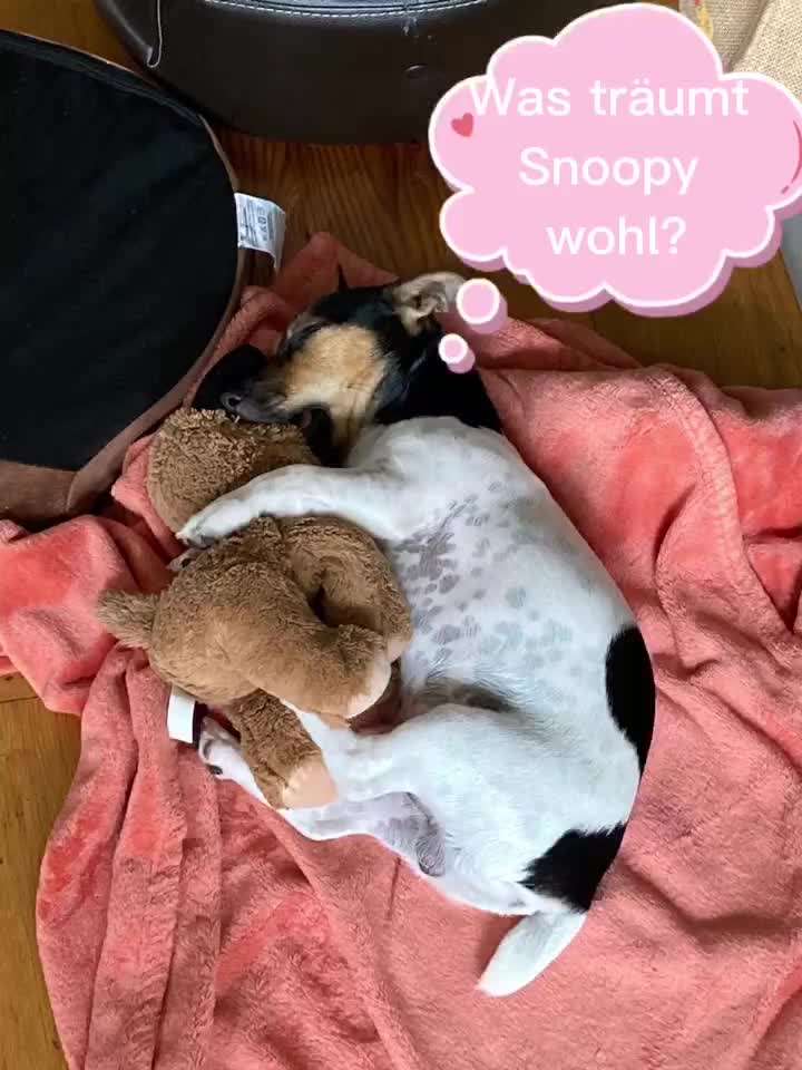 1. Kurzgeschichten Challenge  - Thema:  ...Los, aufstehen-Beitrag-Bild