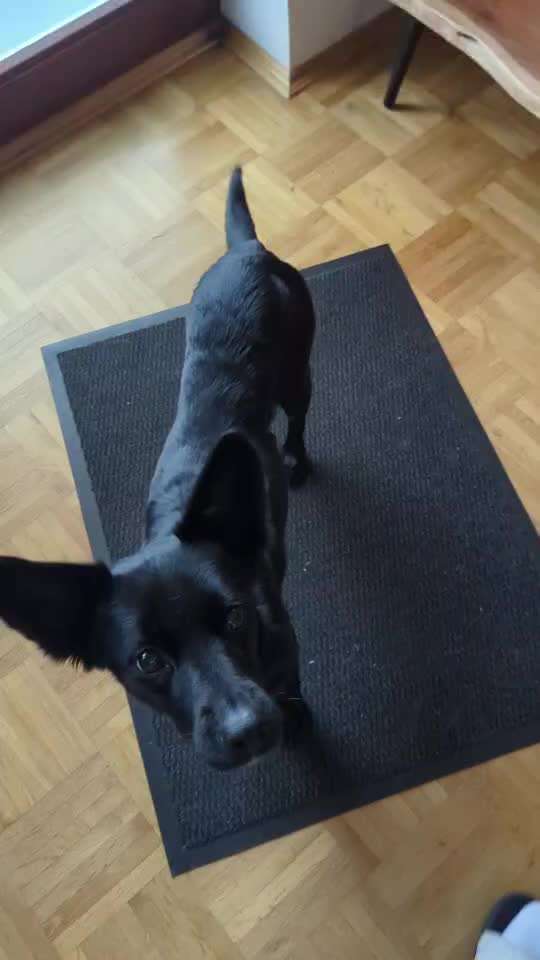 Trick Spiel - ich packe meinen 9. Koffer-Beitrag-Bild