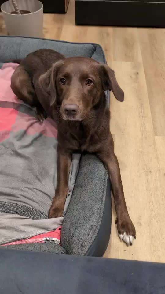 77. Trickspiel - Süß-Beitrag-Bild