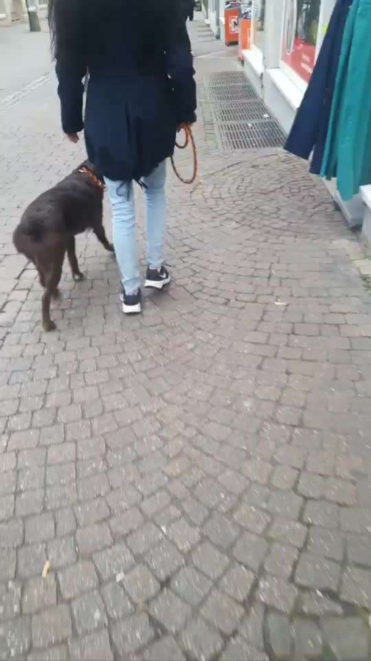 Impulskontrolle Challenge Nr.: 7
         "Gesellschaftsfähig"-Beitrag-Bild