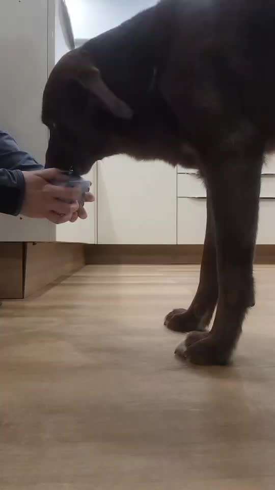 Trickchallenge Nr. 84

"Etwas öffnen "-Beitrag-Bild