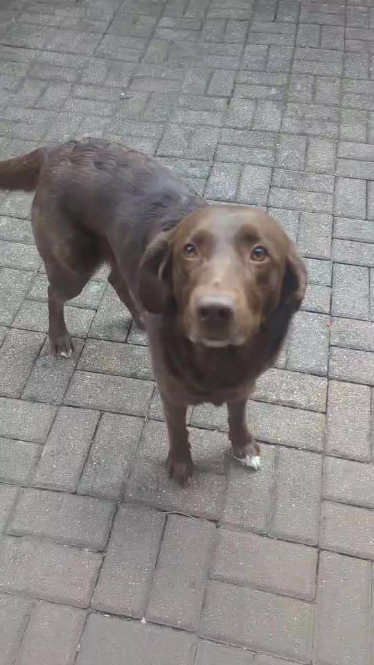 Trickchallenge Nr.86: Spiegelbild-Beitrag-Bild