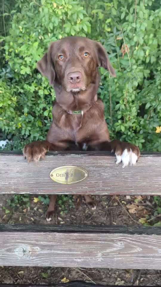 Trickchallenge - ich packe meinen 5. Koffer-Beitrag-Bild