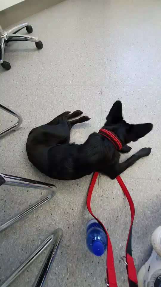 Gebetsstellung-Beitrag-Bild