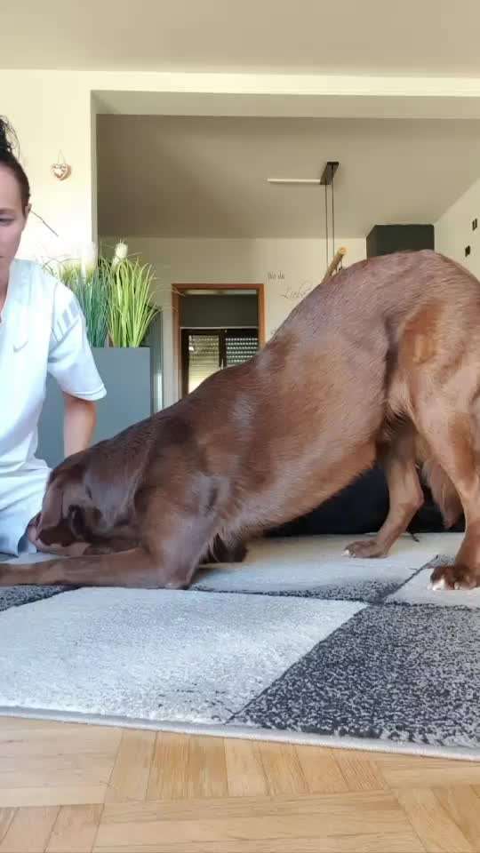 41. Handy Video Challenge-Beitrag-Bild