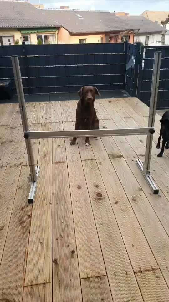 Trick Challenge ABC-Beitrag-Bild