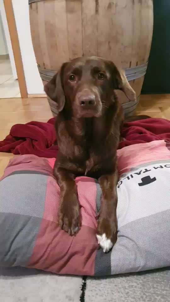 Trick Challenge ABC-Beitrag-Bild