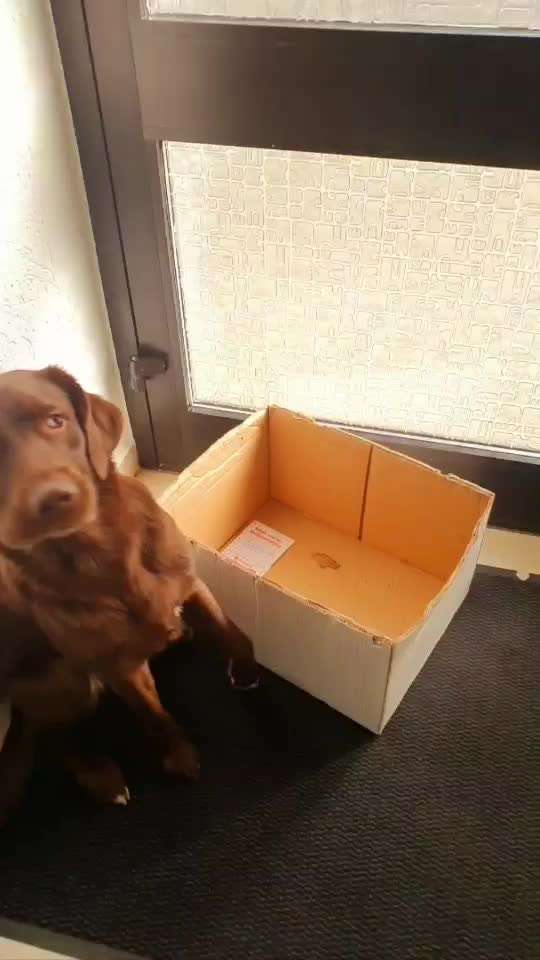 Trick Challenge ABC-Beitrag-Bild