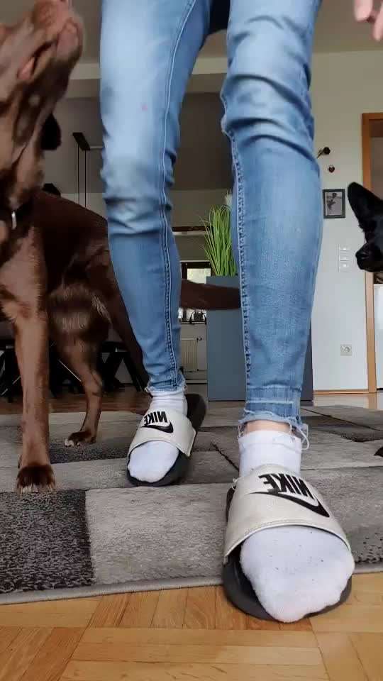 Trick Challenge Nr. 29 ,,TWIST"-Beitrag-Bild