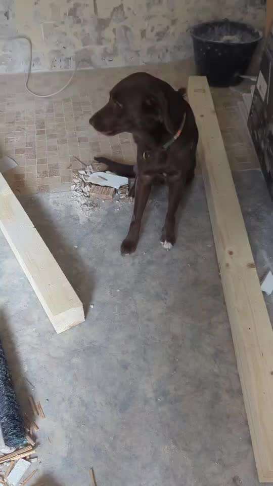 47. Rückwärts Einparken-Beitrag-Bild