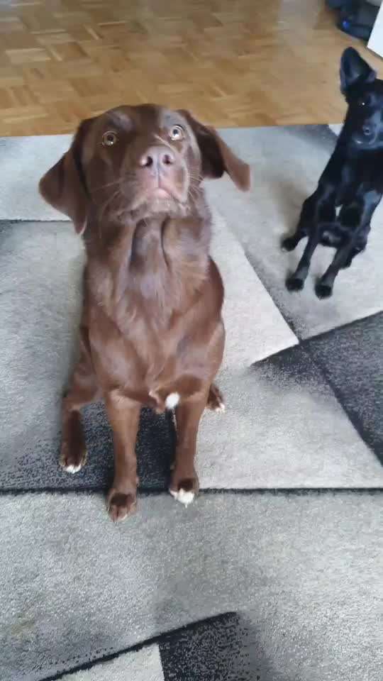 Trick Challenge Nr. 12-Beitrag-Bild