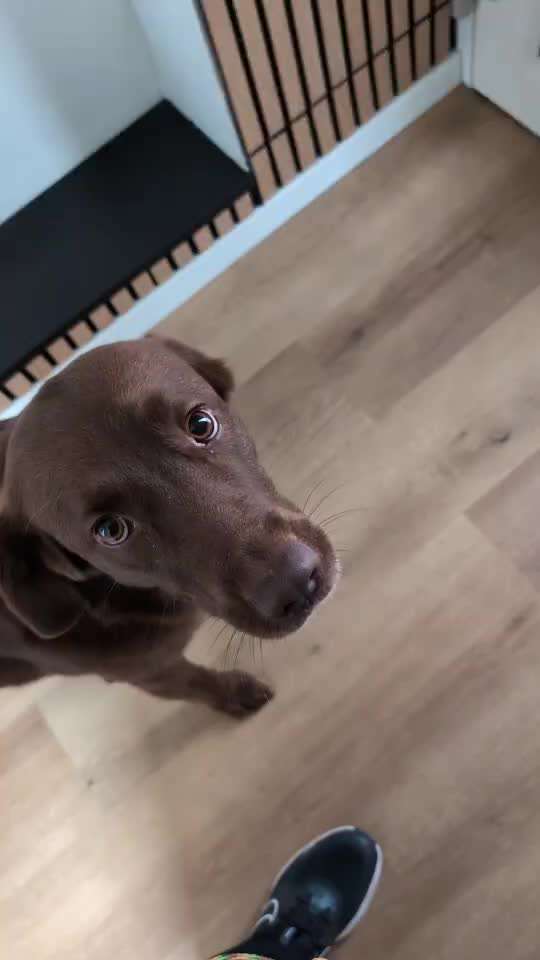 56. Impulskontrollchallenge : Ich warte auf dich !-Beitrag-Bild