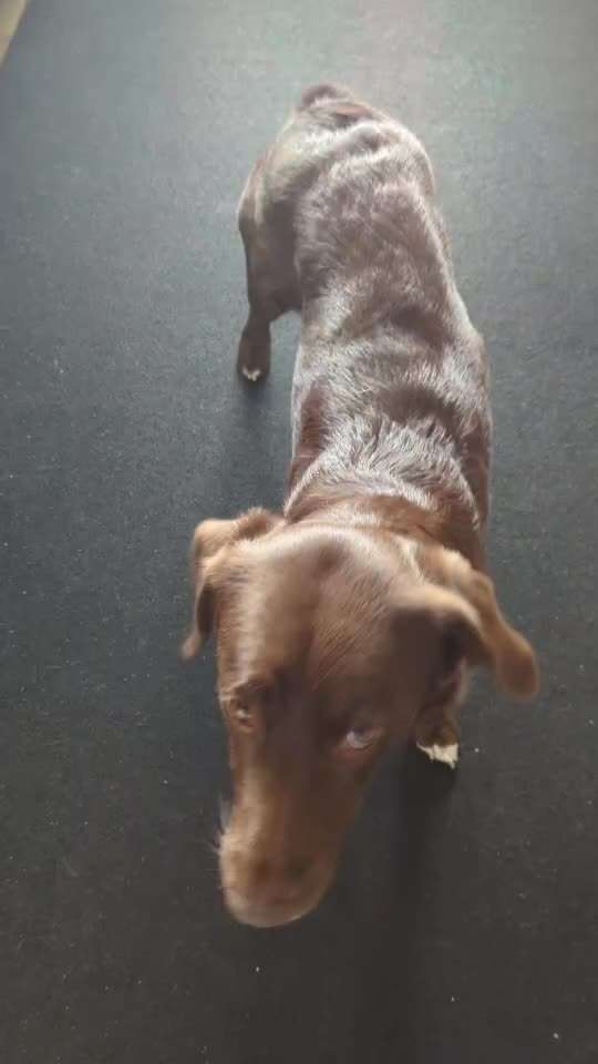 Trick Spiel - ich packe meinen 11. Koffer-Beitrag-Bild