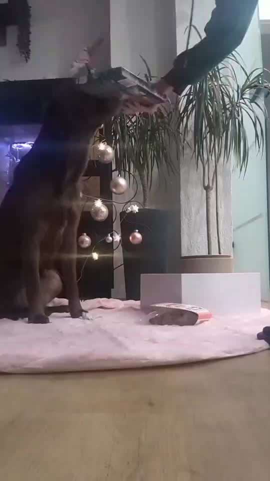 aktuelles Foto Gruppe Trickkiste