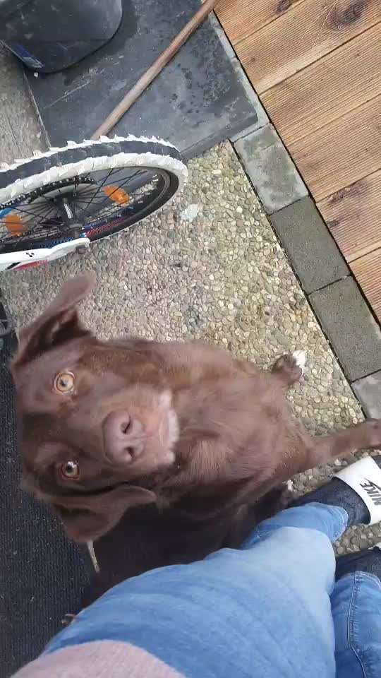 Trick Challenge ABC-Beitrag-Bild