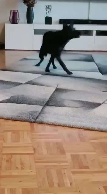 Trick Challenge Nr. 8-Beitrag-Bild