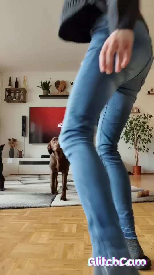 Trickdogging-Beitrag-Bild