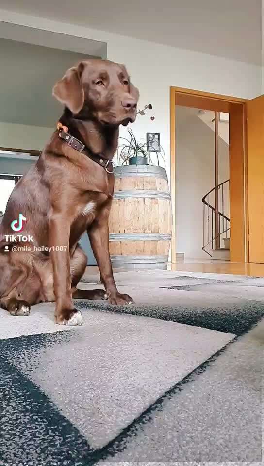 Trick Challenge ABC-Beitrag-Bild