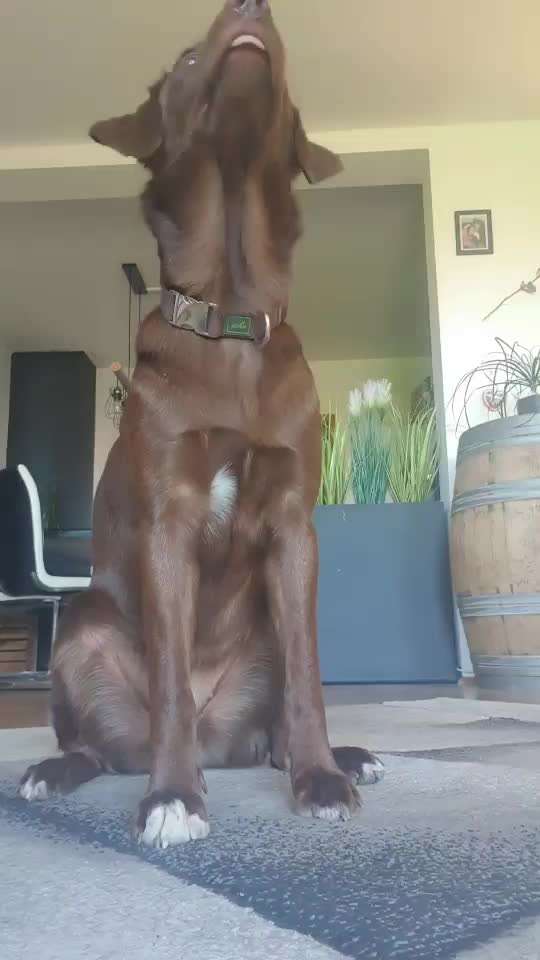 Trick Challenge Nr. 16-Beitrag-Bild