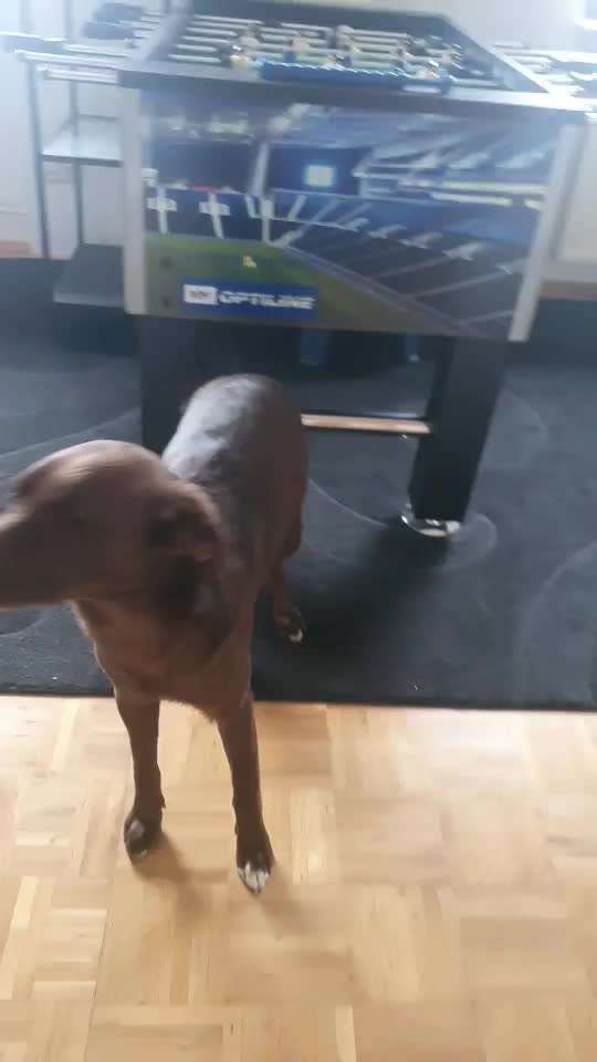 Trick Challenge ABC-Beitrag-Bild