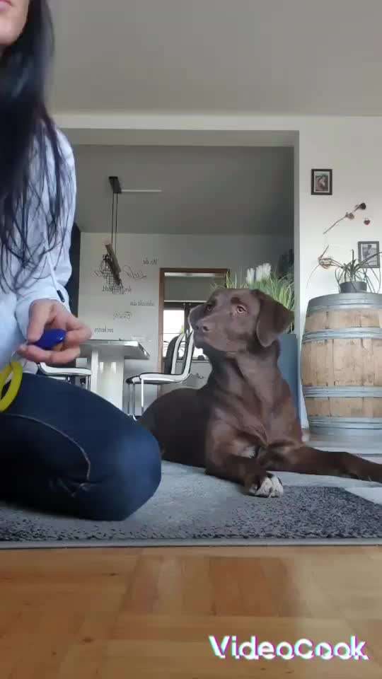 FUN AUFGABEN TOUR-Beitrag-Bild