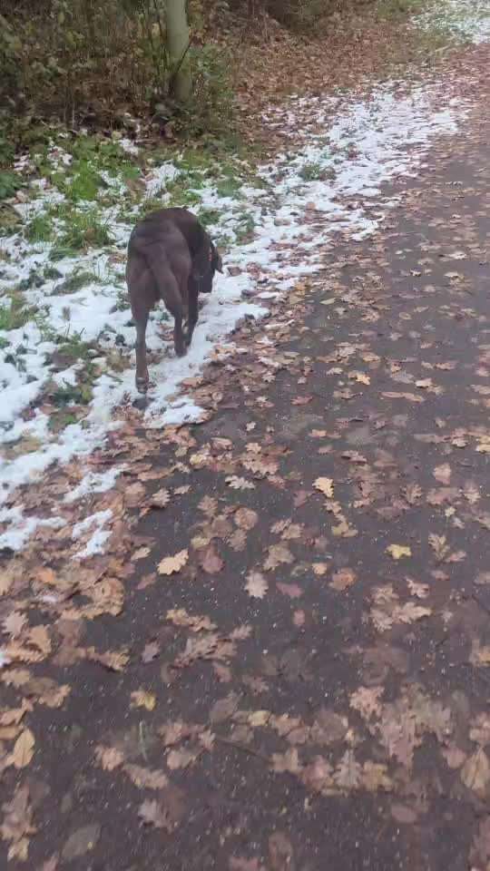 Nr. 64 Selbstständig warten zum Einleinen-Beitrag-Bild