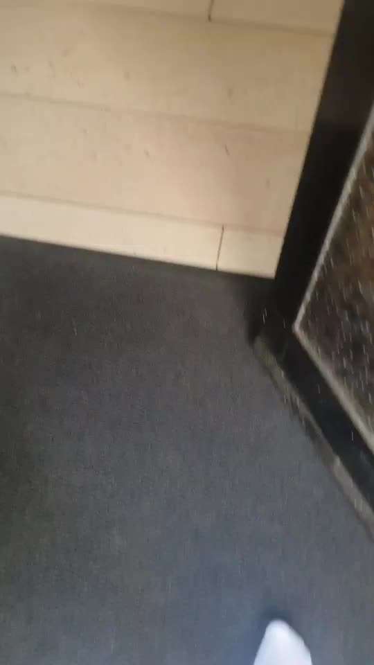 Impulskontrolle-Challenge Nr. 12: 
Begrüßungen-Beitrag-Bild