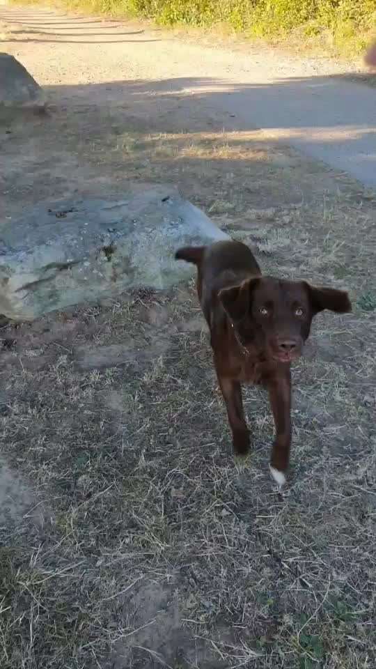 Trick Challenge ABC-Beitrag-Bild