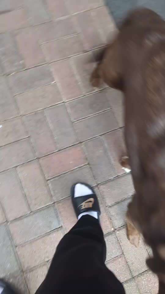 78.Trickspiel: Faceout-Beitrag-Bild