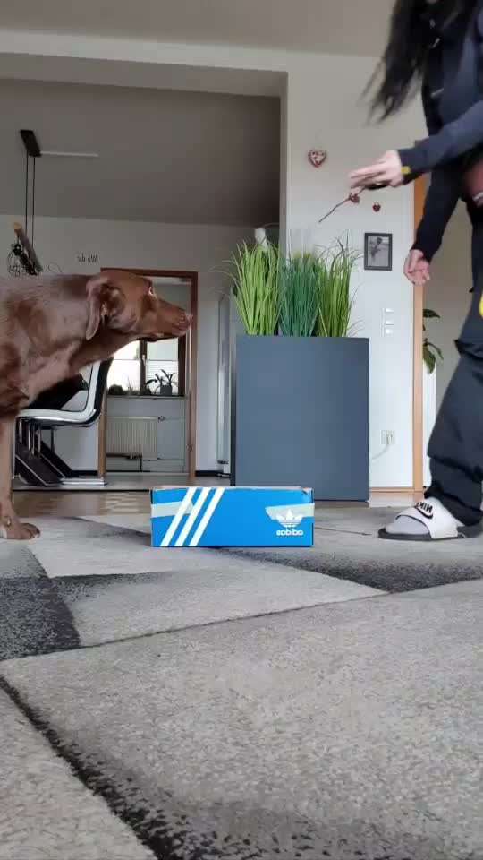 Trick-Challenge Nr.26 Quetschen-Beitrag-Bild