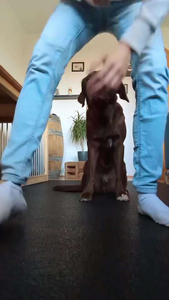 Trickchallenge - ich packe meinen 5. Koffer-Beitrag-Bild