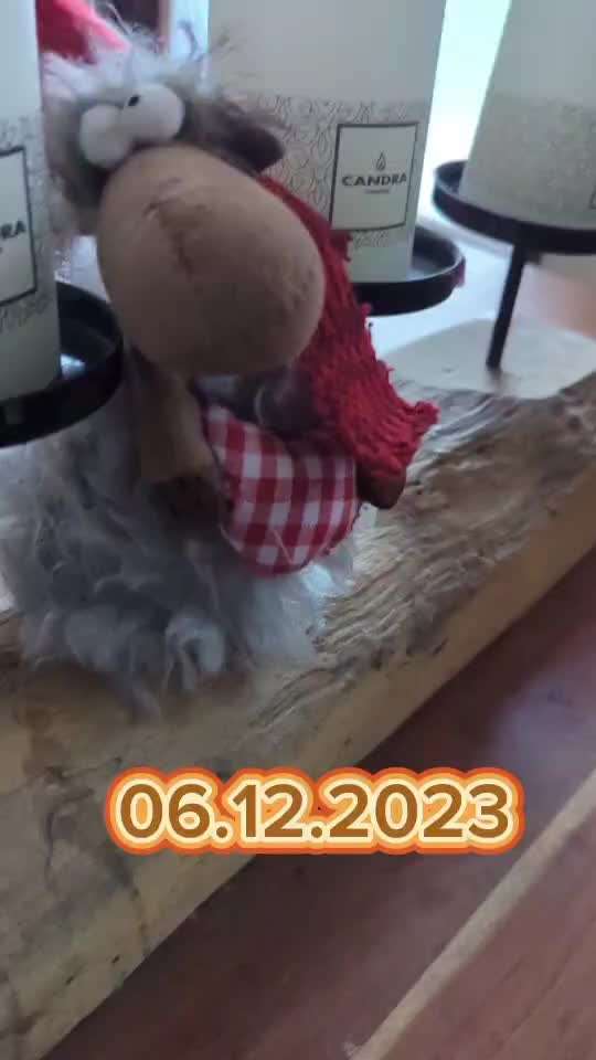 Action-Fun Hund- Aventskalender-Beitrag-Bild