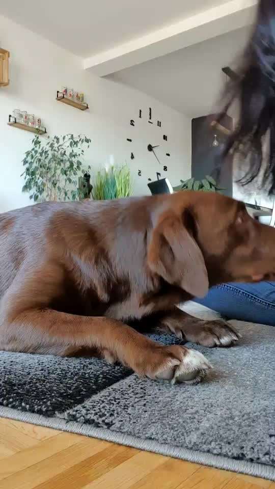 TRICK CHALLENGE NR. 10-Beitrag-Bild