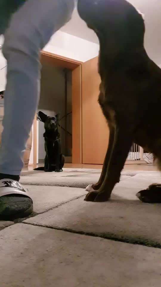 Trick Challenge ABC-Beitrag-Bild