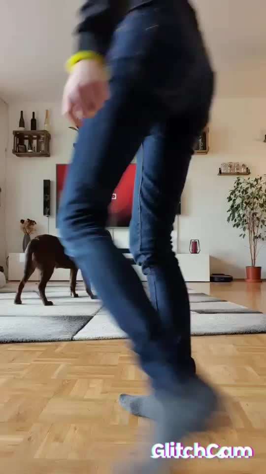 Trickdogging-Beitrag-Bild